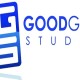 Goodgame Studios: un 2012 di eccezionale successo