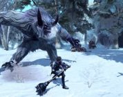 RaiderZ: annunciato il rilancio del gioco