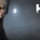 H1Z1: informazioni sul nuovo survival zombie