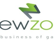 Analisi di mercato su MMO e Free to Play